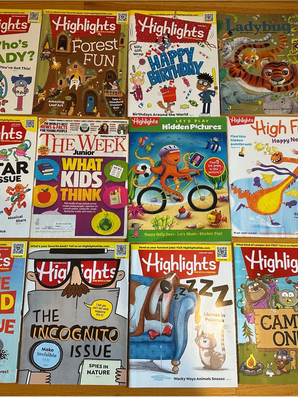 Highlights Magazine 12 Pack Kids Puzzle Activity Issues Hidden Pics Ladybug Camp